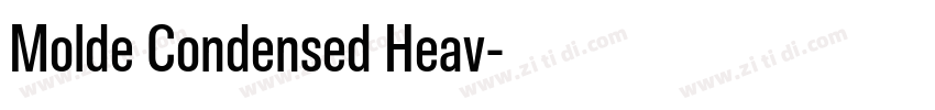 Molde Condensed Heav字体转换 Molde Condensed Heav字体转换